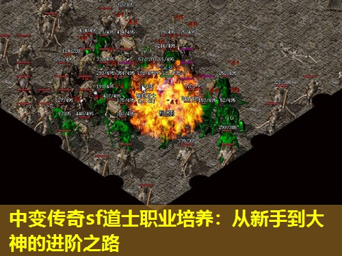 中变传奇sf道士职业培养:从新手到大神的进阶之路 中变传奇sf道士职业培养:从新手到大神的进阶之路