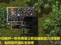 今日刚开一秒传奇道士职业辅助能力深度解析，如何提升团队生存率