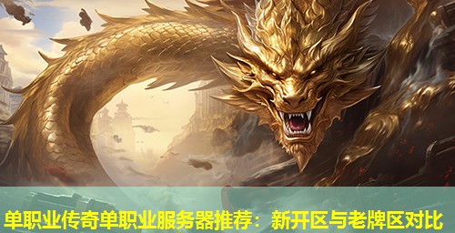 单职业传奇单职业服务器推荐：新开区与老牌区对比
