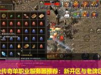 单职业传奇单职业服务器推荐：新开区与老牌区对比