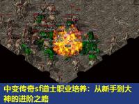 中变传奇sf道士职业培养：从新手到大神的进阶之路