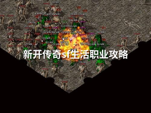 新开传奇sf生活职业攻略